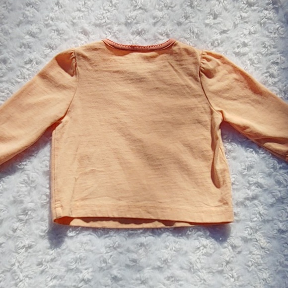 Lot 2 Gymboree Baby Longsleeve shirts cat ladybug - Picture 5 of 5